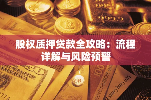 北京股权质押贷款全攻略：流程详解与风险预警