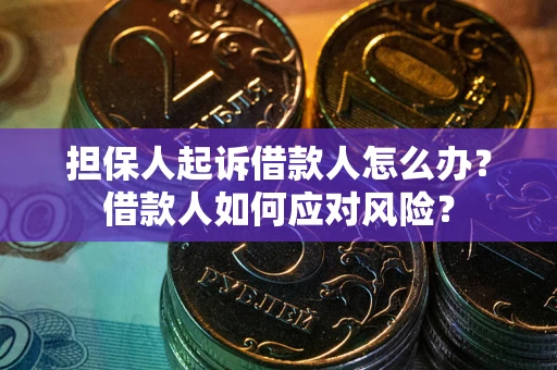 北京担保人起诉借款人怎么办？借款人如何应对风险？