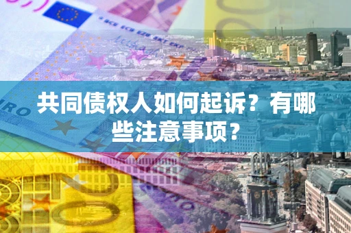 北京共同债权人如何起诉？有哪些注意事项？